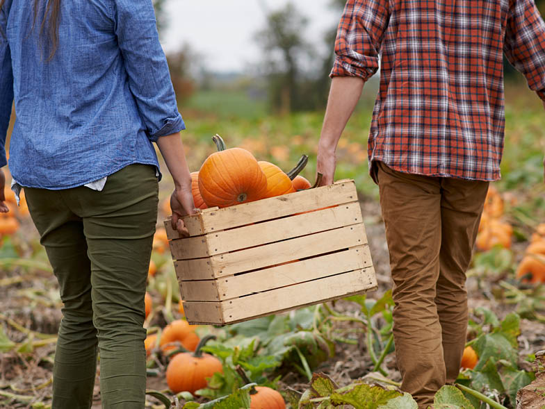 couple carrying pumpkins