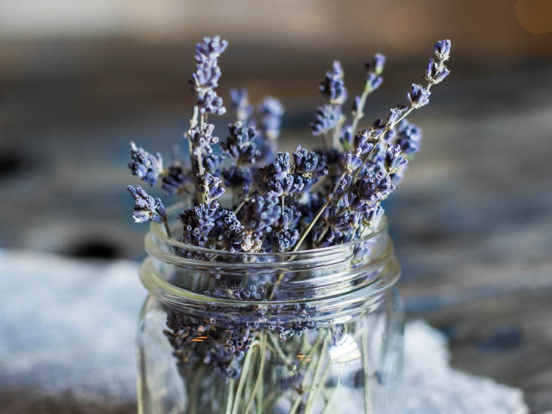 jar-lavender