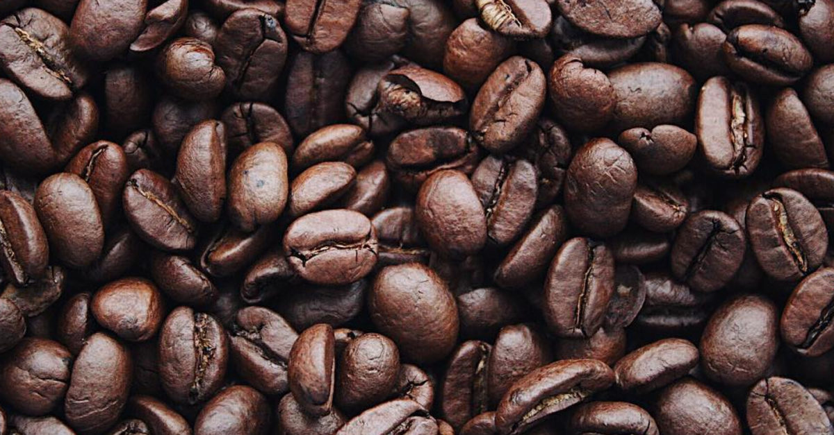 6 Uses for Coffee Grounds Around the Home Start Healthy