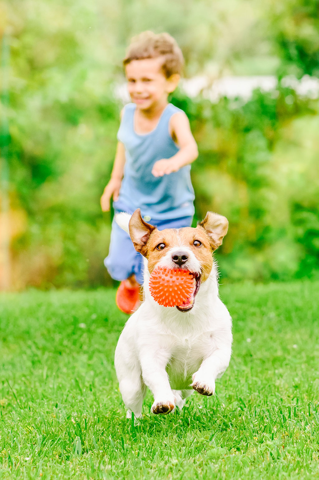 Dog and kid playing