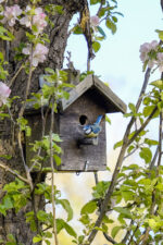 Bird house